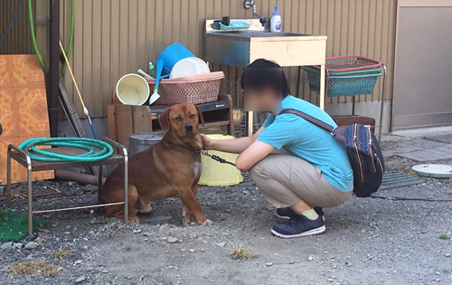 ほうがくのわ合宿2017 犬