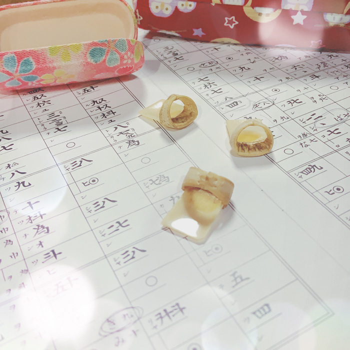 奈良県奈良市で和楽器を習える教室「音のいろは教室」《邦楽wiki｜ほうがくのわ》